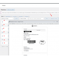 Plugin Etiquetas Simples de Postagem Correios para Woocommerce